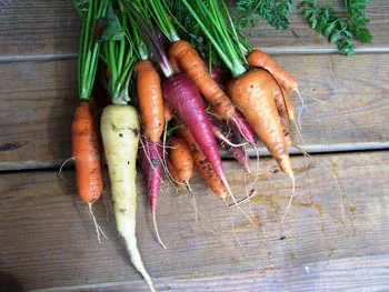 5 Things to Do Now For a Better Vegetable Garden