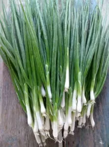 How to Grow Scallions in a Home Garden