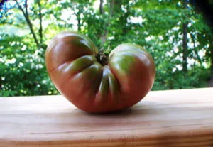 Oxheart Tomatoes Are Perfect for Slicing, Stuffing or Sauce